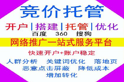 某企业SEM广告投放的ROI提升策略及效果展示